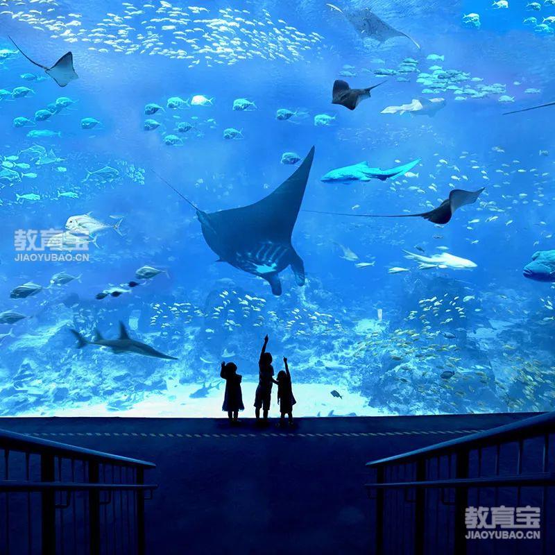 制定篮球交流计划以促进个人技能发展的方法_0